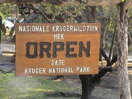 kruger national park