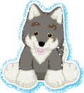 webkinz gray wolf