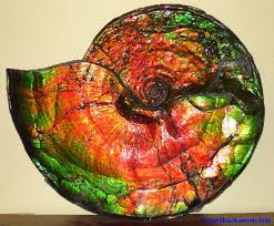 ammolite stones