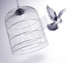 caged birds sing