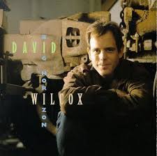 David Wilcox - Big Horizon