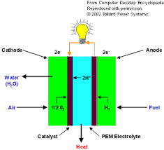electrons and protons