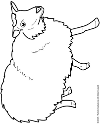 printable pumkin sketches
