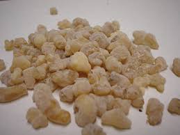 boswellia carteri