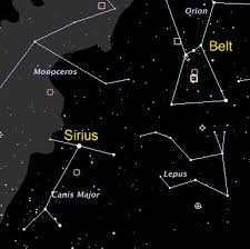 dog stars