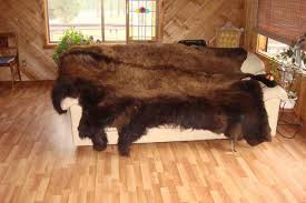 couch covers