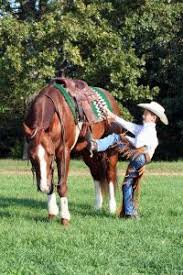 used saddles