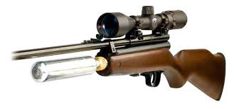 22 caliber pellet rifle