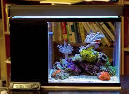 2.5 gallon aquariums
