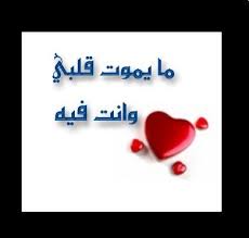تستطيع أن ترى الصورة بحجمها الطبيعي بعد الضغط عليها