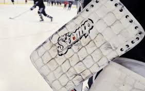 hockey goaltenders