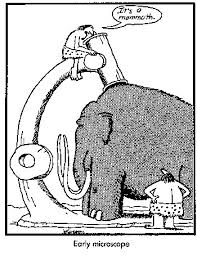far side galleries
