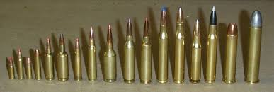 17 hm2 rifles