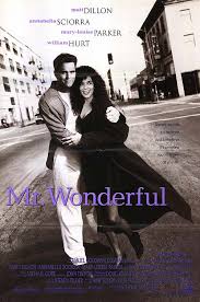 mr wonderful movie