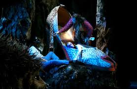 night dream