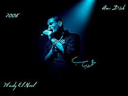 amr diab 2008
