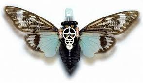 bug robots