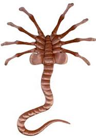 alien parasite
