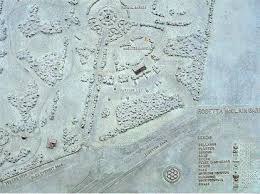 braille maps