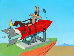 acme coyote