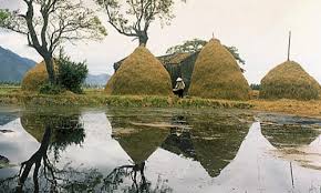 lifestyle of vietnamese people – Vietnamese Traditional Family Values