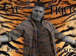 eye of a tiger