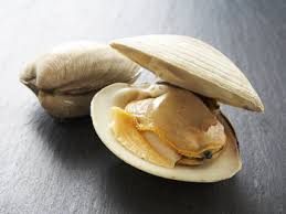 steamed clams