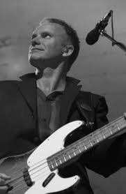 sting
