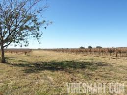 mason texas