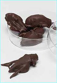 chocolate insects
