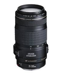 canon 300mm lenses