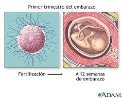 infecciones en el embarazo