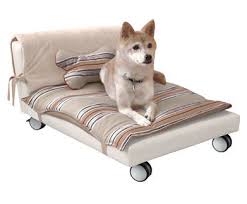 bed dog