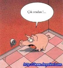 KARİKATÜR2 Karikaturler10017pd4