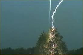 lightning striking a tree