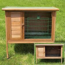 rabbits pets