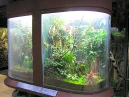 iguana terrarium
