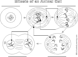 softsoap printable 2010