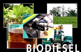 biodiesel energy