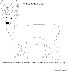 free literacy printables