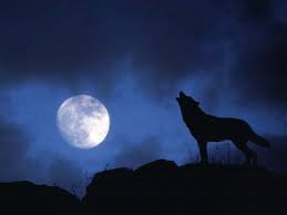 La Noche Del Lobo