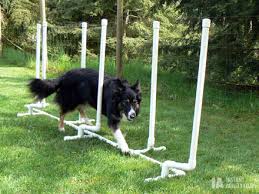 dog weave poles