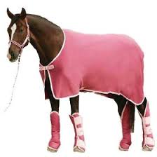 pink horse equipment