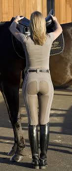 equestrian breeches