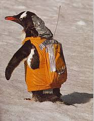 penguin backpacks