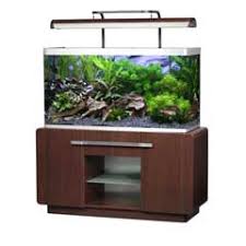 fluval osaka aquarium