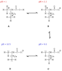 amino group