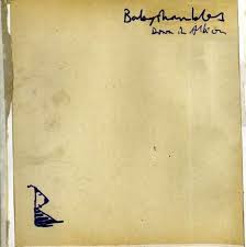 Babyshambles - La Belle Et La Bete