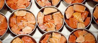 canned salmon