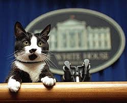 presidential podium